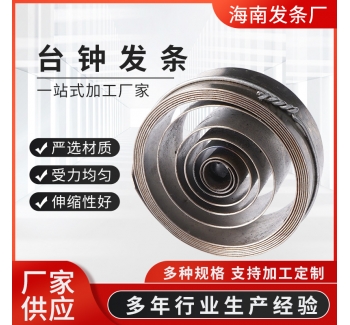 廠家供應臺鐘網發條不銹鋼渦卷彈簧 不銹鋼五金彈簧發條